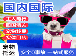 黑河瑷珲机场空运国际宠物托运 【国